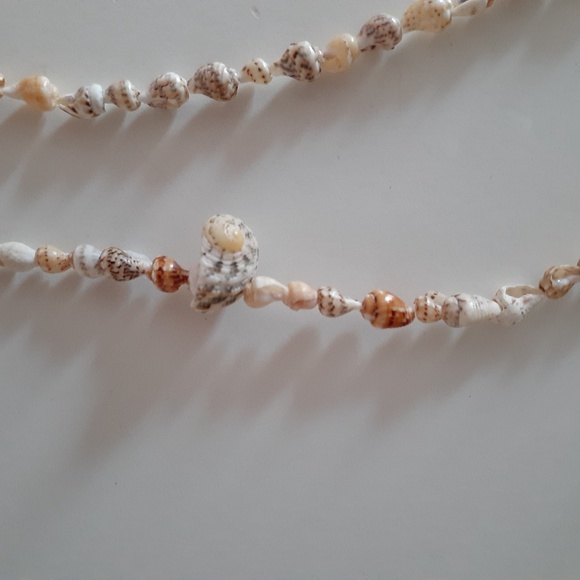Shell Necklace - Picture 5 of 8